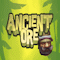 Ancient Ore - 001