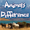 Animal Differences