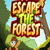 Escape the Forest